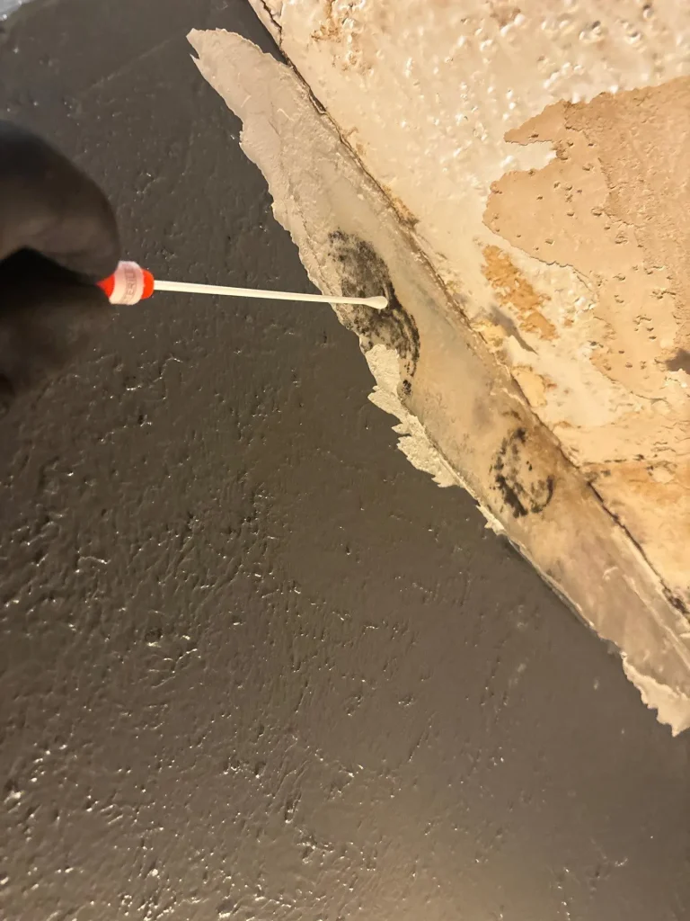 Certified mold inspector collecting surface sample from black mold growth on damaged wall in Miami home