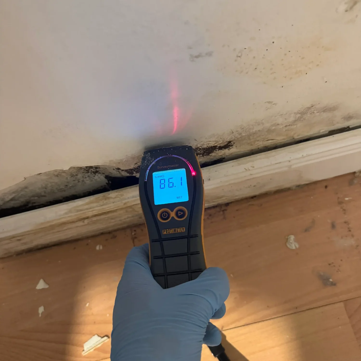 Protimeter moisture meter reading high moisture levels on a wall with visible mold near the baseboard